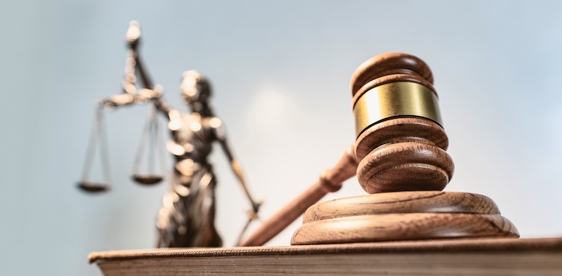 BVNL haalt Nederland van het slot – update juridische procedures